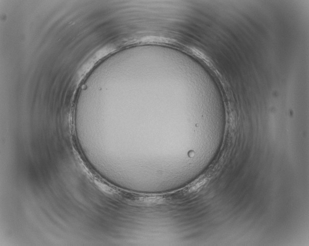 X0000053061282200508011904