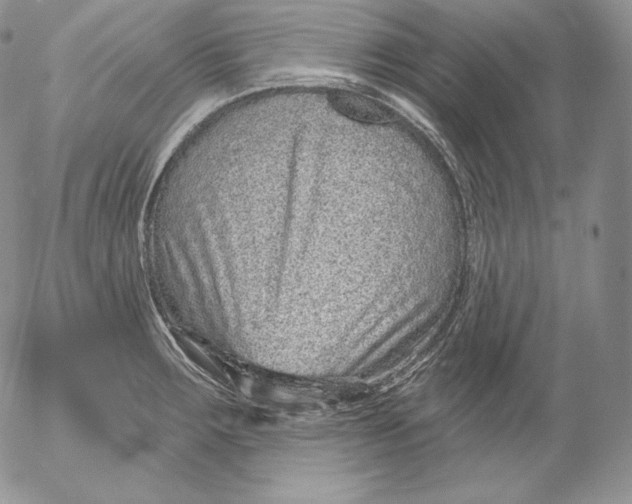 X0000053061283200508011904