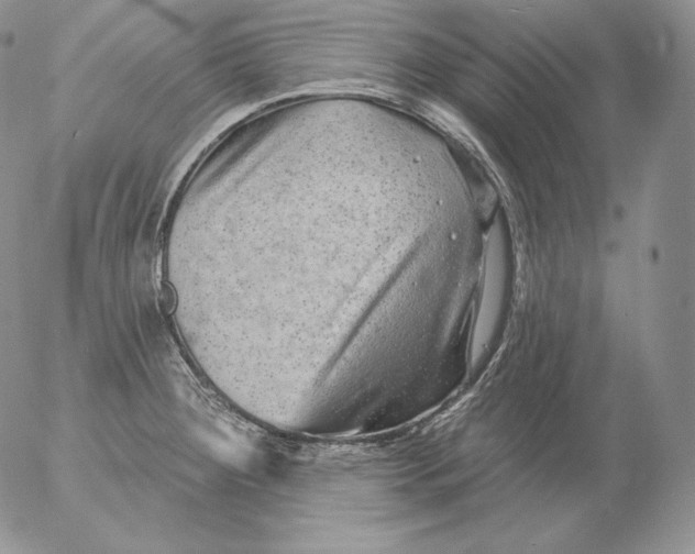 X0000053061284200508011904