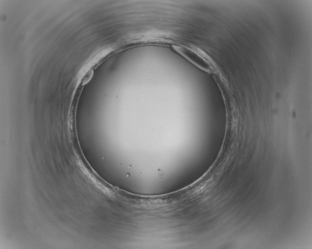 X0000053061285200508011904