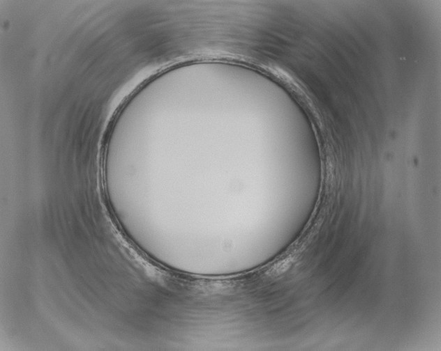 X0000053061286200508011904