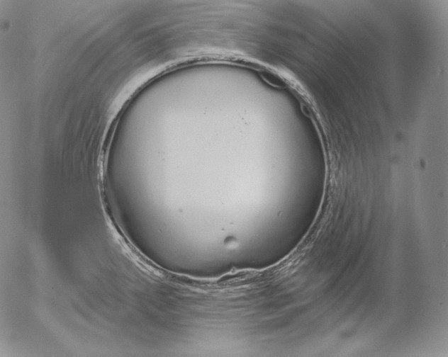 X0000053061287200508011904