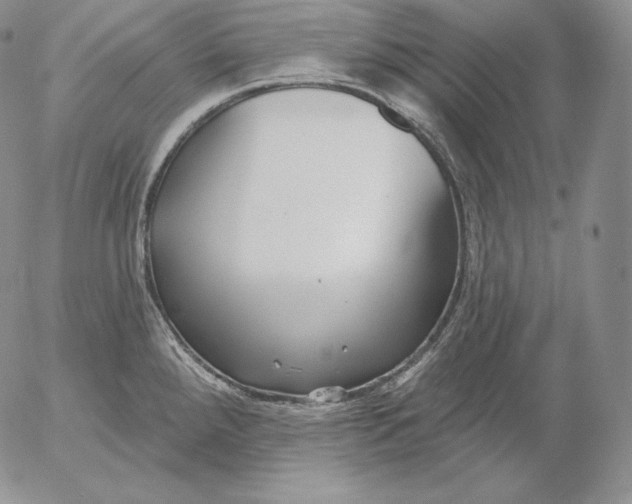 X0000053061288200508011904