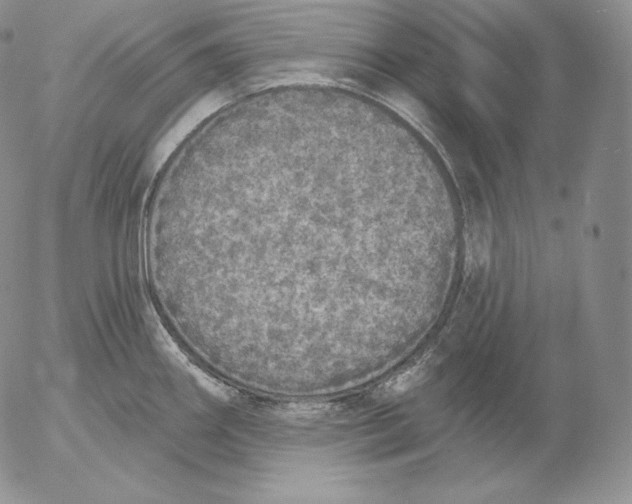 X0000053061290200508011904