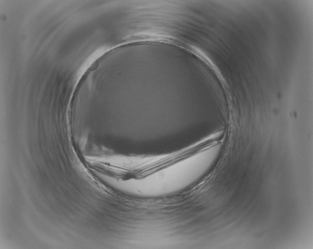 X0000053061291200508011904