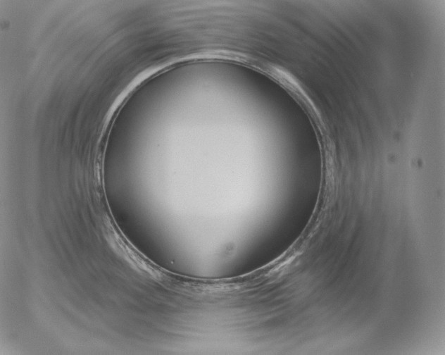 X0000053061292200508011904