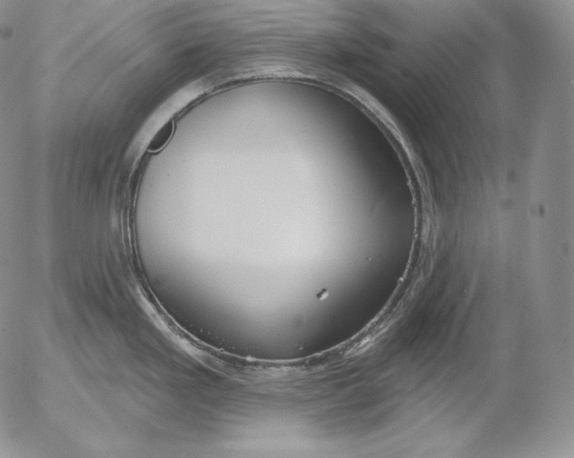 X0000053061293200508011904