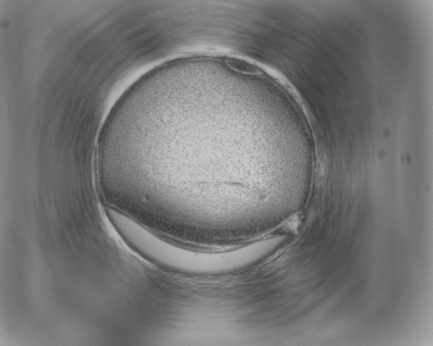 X0000053061295200508011904