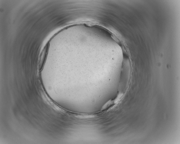 X0000053061296200508011904