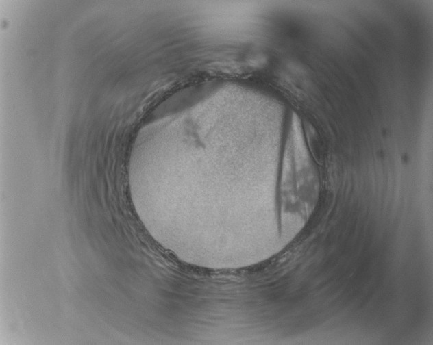 X0000053061297200508011903