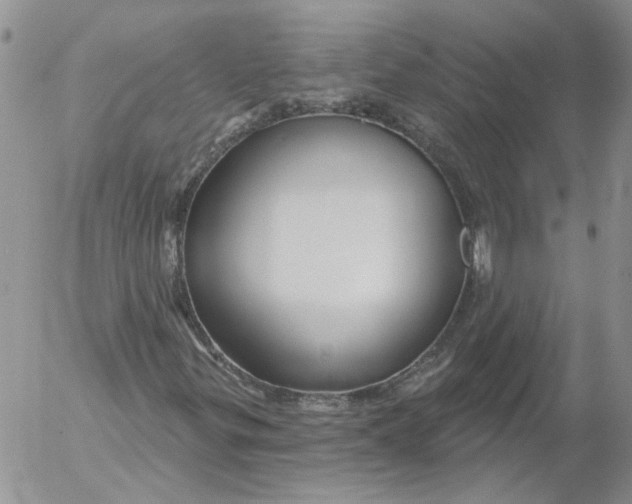 X0000053061299200508011903