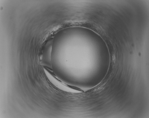 X0000053061300200508011903