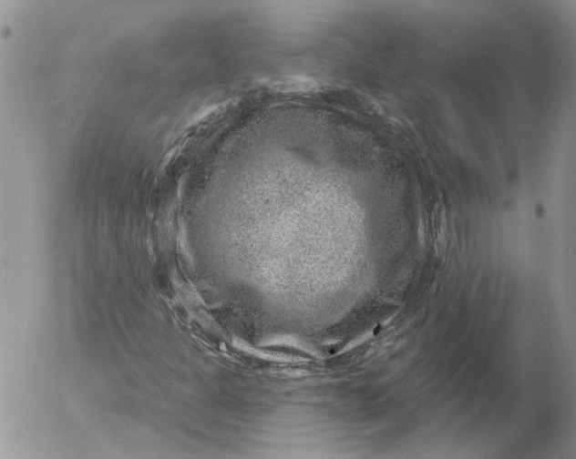 X0000053061301200508011903