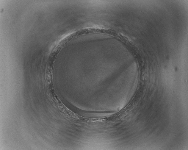 X0000053061303200508011903