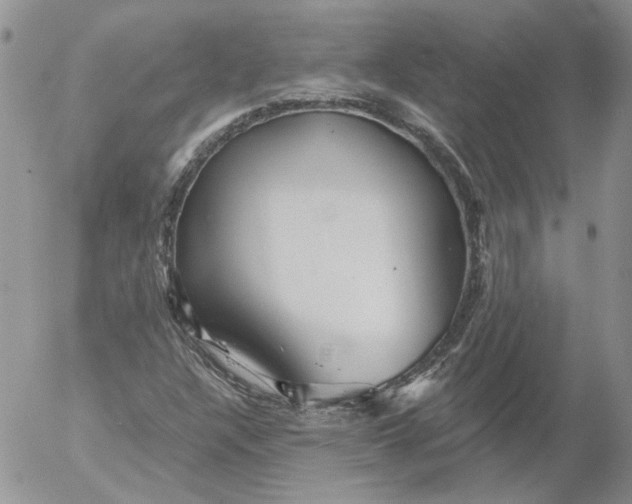 X0000053061304200508011903