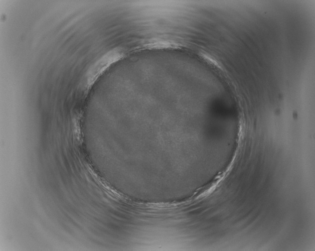 X0000053061305200508011903