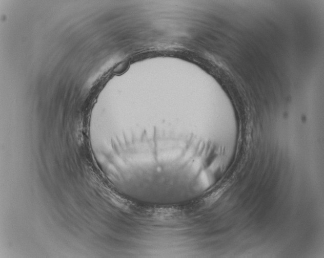 X0000053061306200508011903