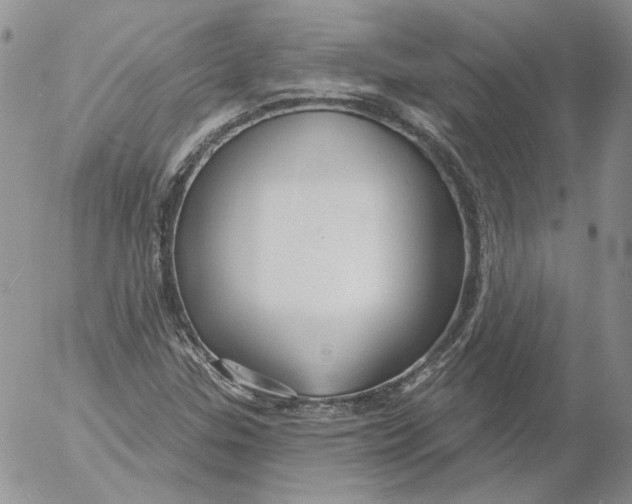 X0000053061307200508011903