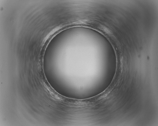 X0000053061308200508011903