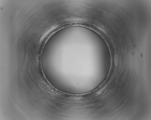 X0000053061309200508011903