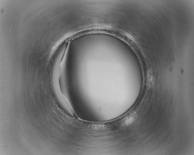 X0000053061310200508011903