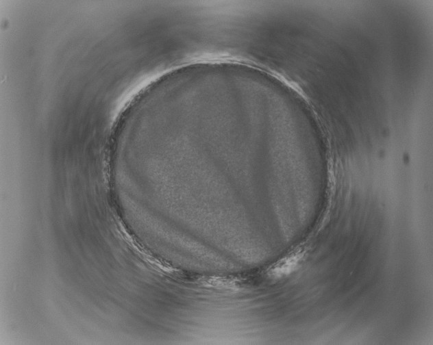 X0000053061311200508011903