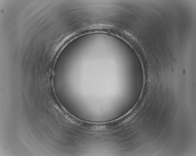 X0000053061313200508011903