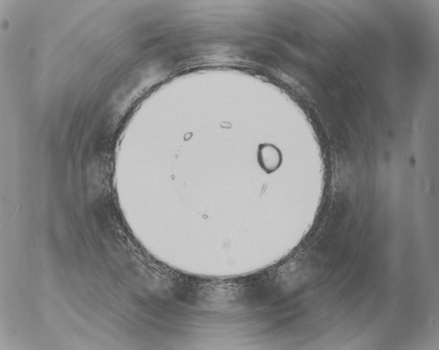 X0000053061314200508011903