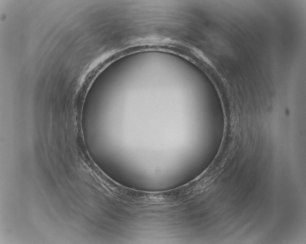 X0000053061315200508011903