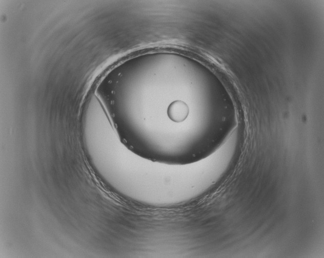 X0000053061316200508011903