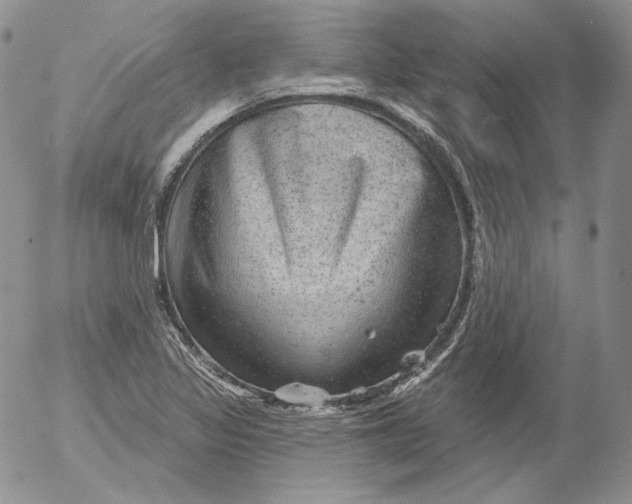 X0000053061317200508011903