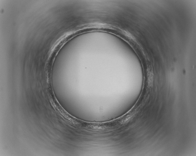 X0000053061318200508011903