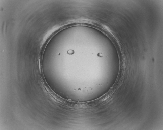 X0000053061320200508011904