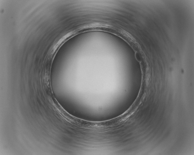 X0000053061321200508011904