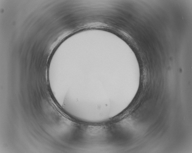 X0000053061322200508011904