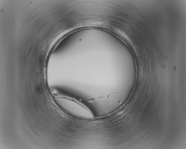 X0000053061324200508011904