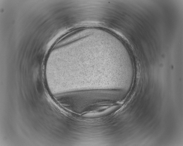 X0000053061325200508011904