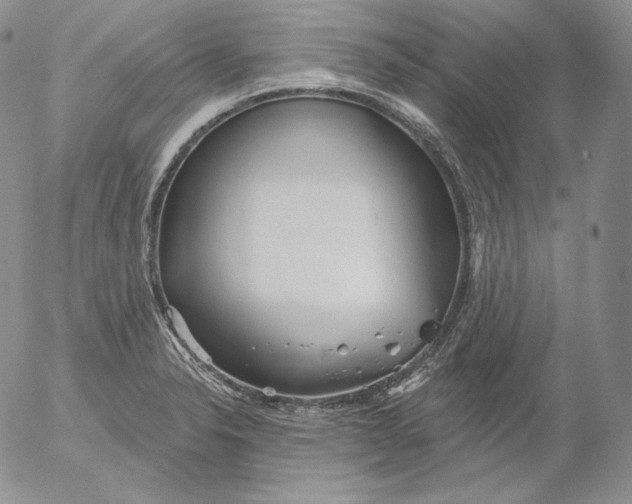 X0000053061326200508011904