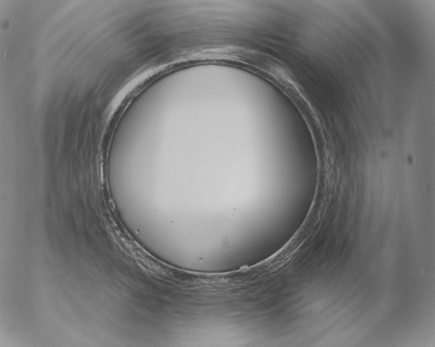 X0000053061328200508011904