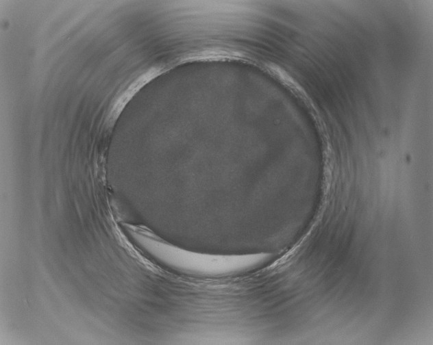 X0000053061329200508011904