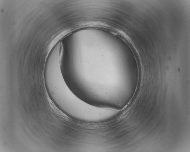 X0000053061330200508011904