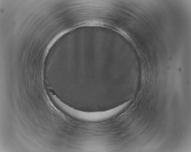 X0000053061331200508011904