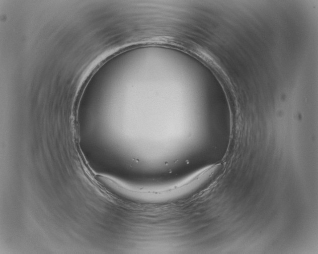 X0000053061332200508011904