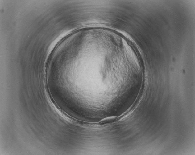 X0000053061333200508011904