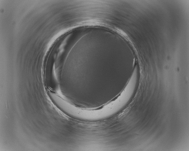 X0000053061334200508011904