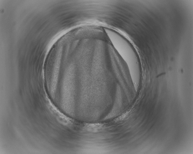 X0000053061335200508011904