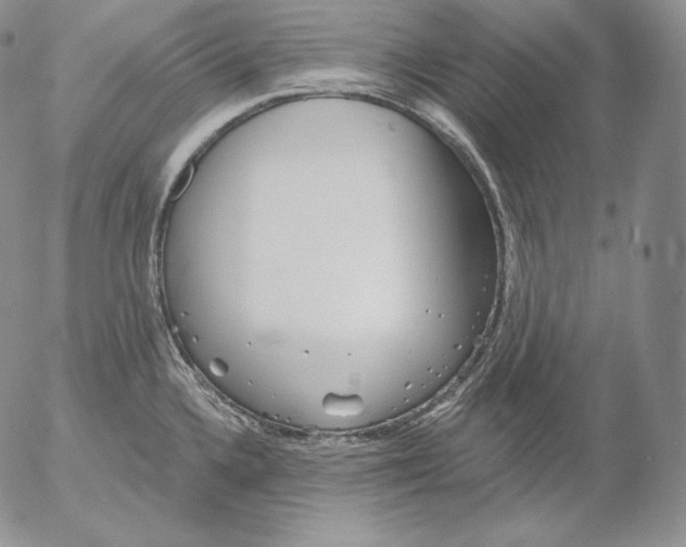 X0000053061336200508011904