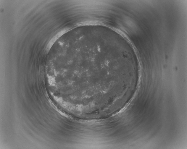 X0000053061337200508011904