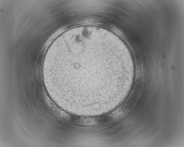 X0000053061338200508011904