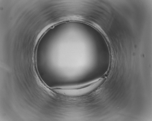 X0000053061339200508011904